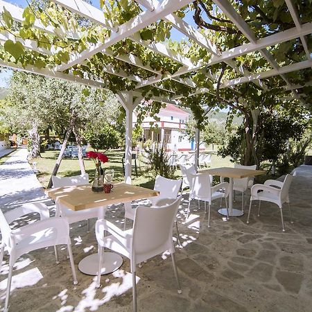 Jaz Garden Residence Budva Eksteriør billede
